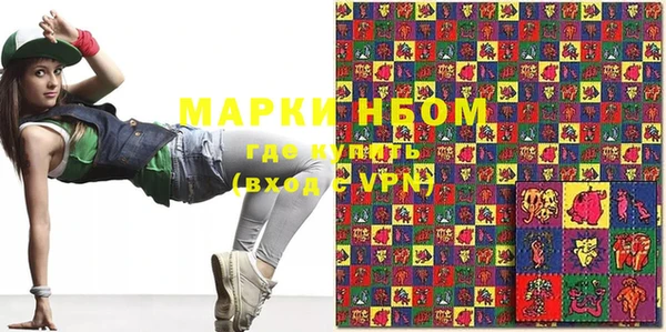 индика Тобольск