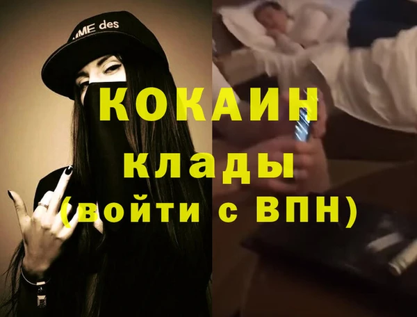 прущие грибы Бугульма
