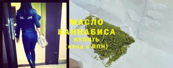 индика Тобольск