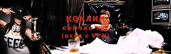 индика Тобольск