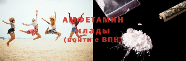 индика Тобольск