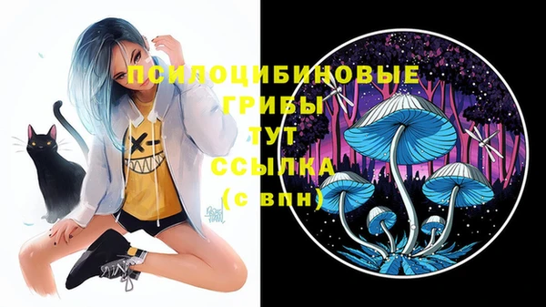 ешки Тихвин