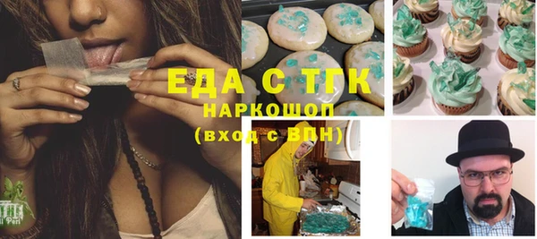 индика Тобольск