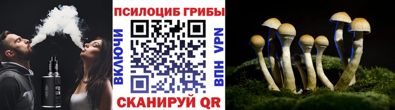 Псилоцибиновые грибы GOLDEN TEACHER  ОМГ ОМГ ССЫЛКА  Юрга  купить  